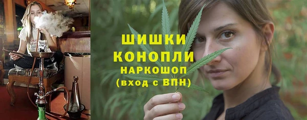 гашик Гусь-Хрустальный