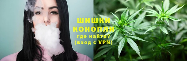 индика Гусиноозёрск