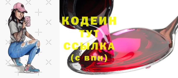 стаф Гусев