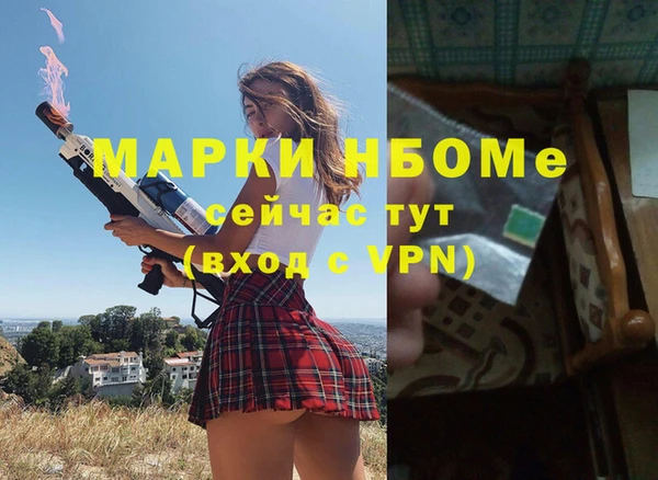 гашик Гусь-Хрустальный