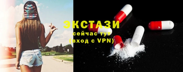 индика Гусиноозёрск