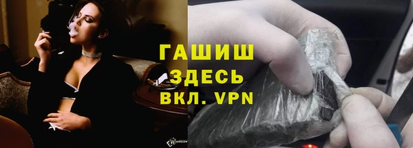 стаф Гусев
