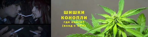 гашик Гусь-Хрустальный