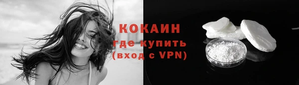 стаф Гусев