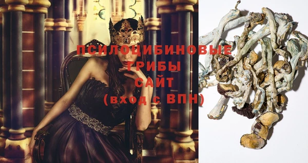 индика Гусиноозёрск