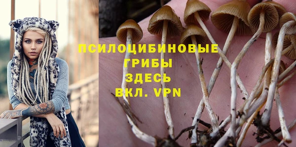 индика Гусиноозёрск