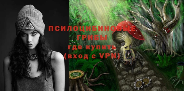 стаф Гусев