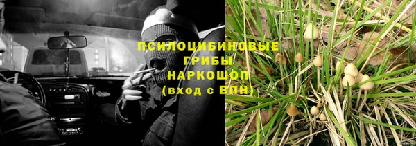 гашик Гусь-Хрустальный