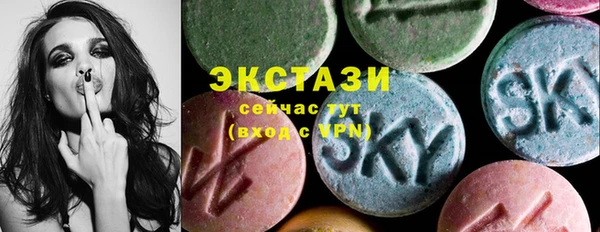 индика Гусиноозёрск