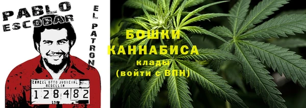 индика Гусиноозёрск
