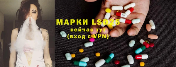 индика Гусиноозёрск