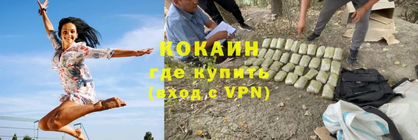 стаф Гусев