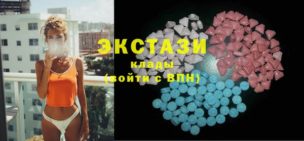 индика Гусиноозёрск