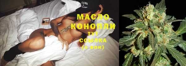 стаф Гусев