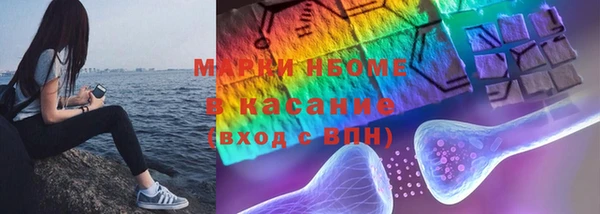 гашик Гусь-Хрустальный
